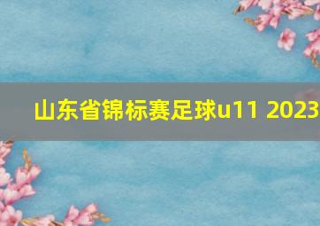 山东省锦标赛足球u11 2023